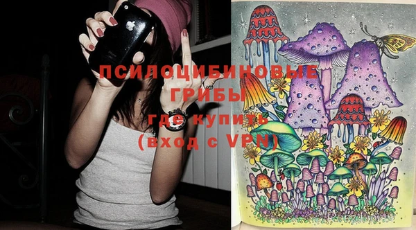амф Абдулино