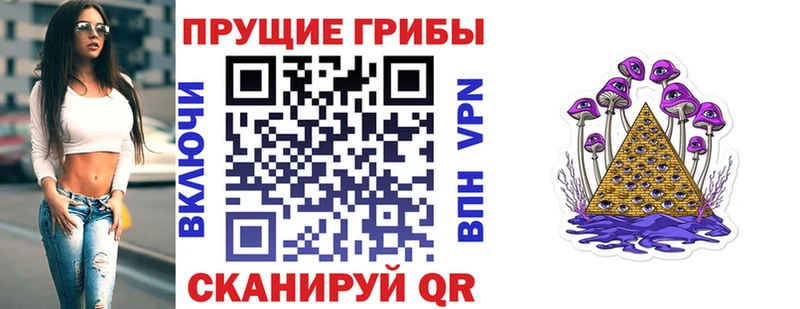 Псилоцибиновые грибы Cubensis  Агрыз 